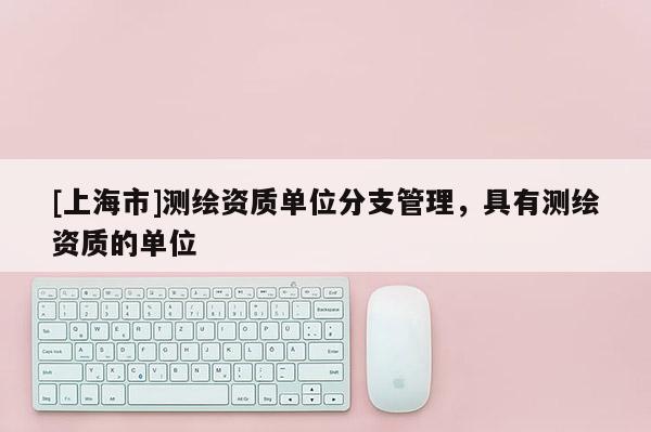 [上海市]测绘资质单位分支管理，具有测绘资质的单位