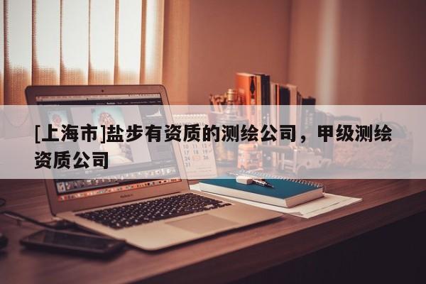 [上海市]盐步有资质的测绘公司，甲级测绘资质公司