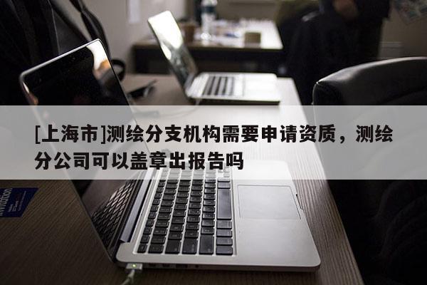 [上海市]测绘分支机构需要申请资质，测绘分公司可以盖章出报告吗