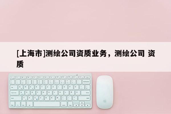 [上海市]测绘公司资质业务，测绘公司 资质