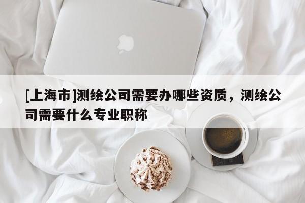 [上海市]测绘公司需要办哪些资质，测绘公司需要什么专业职称