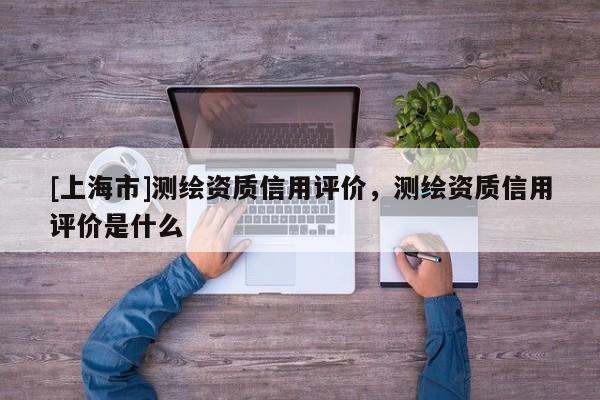 [上海市]测绘资质信用评价，测绘资质信用评价是什么