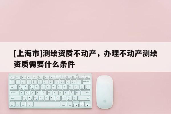 [上海市]测绘资质不动产，办理不动产测绘资质需要什么条件