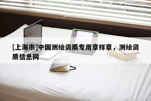 [上海市]中国测绘资质专用章样章，测绘资质信息网