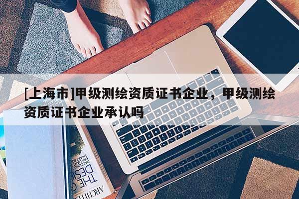 [上海市]甲级测绘资质证书企业，甲级测绘资质证书企业承认吗