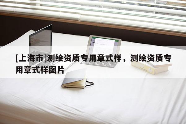 [上海市]测绘资质专用章式样，测绘资质专用章式样图片