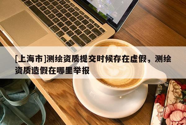 [上海市]测绘资质提交时候存在虚假，测绘资质造假在哪里举报