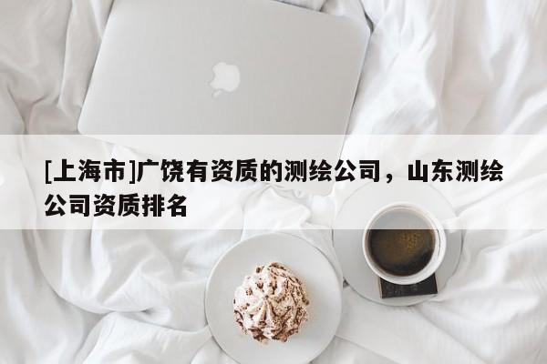 [上海市]广饶有资质的测绘公司，山东测绘公司资质排名