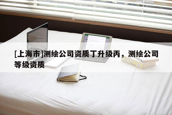 [上海市]测绘公司资质丁升级丙，测绘公司等级资质
