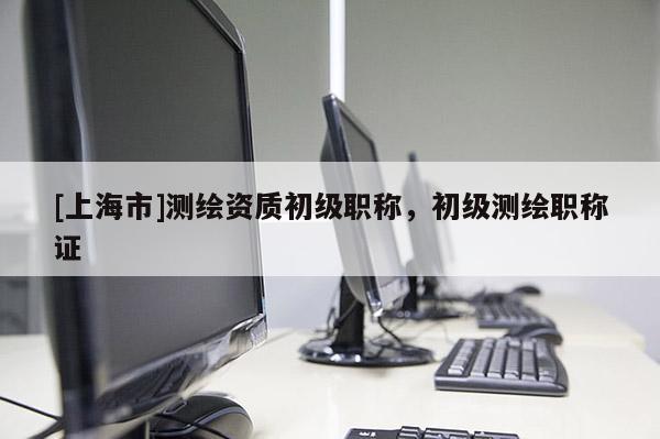 [上海市]测绘资质初级职称，初级测绘职称证