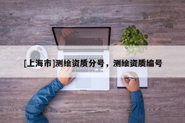 [上海市]测绘资质分号，测绘资质编号