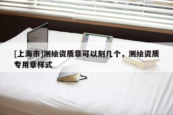 [上海市]测绘资质章可以刻几个，测绘资质专用章样式