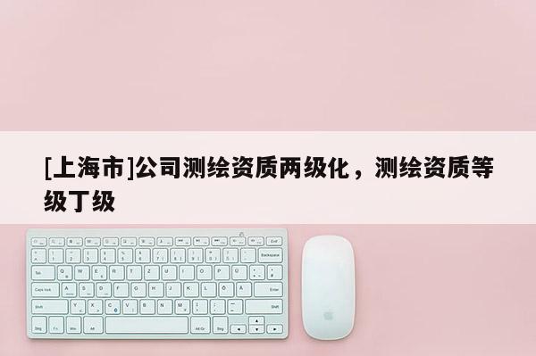 [上海市]公司测绘资质两级化，测绘资质等级丁级