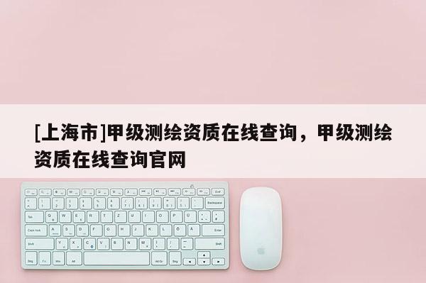 [上海市]甲级测绘资质在线查询，甲级测绘资质在线查询官网