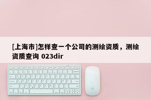 [上海市]怎样查一个公司的测绘资质，测绘资质查询 023dir