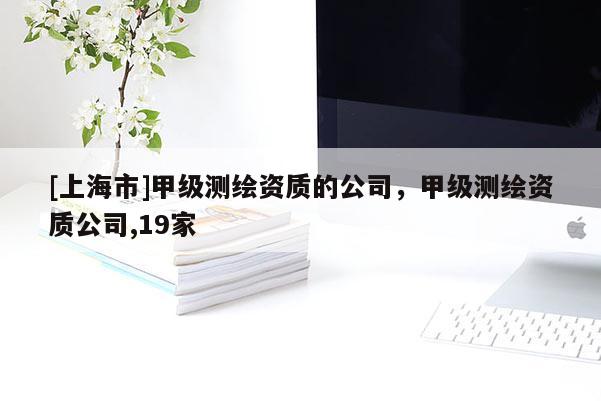 [上海市]甲级测绘资质的公司，甲级测绘资质公司,19家
