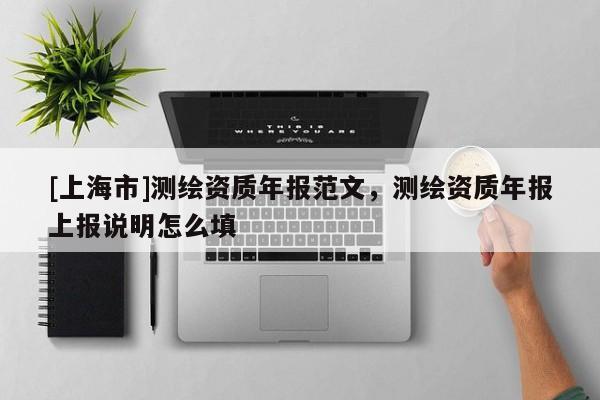 [上海市]测绘资质年报范文，测绘资质年报上报说明怎么填