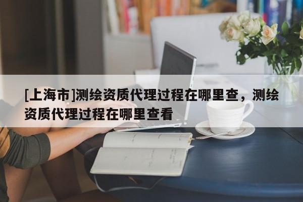 [上海市]测绘资质代理过程在哪里查，测绘资质代理过程在哪里查看