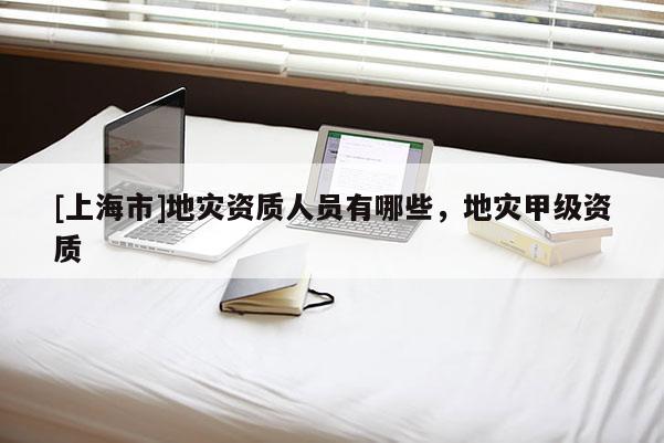 [上海市]地灾资质人员有哪些，地灾甲级资质