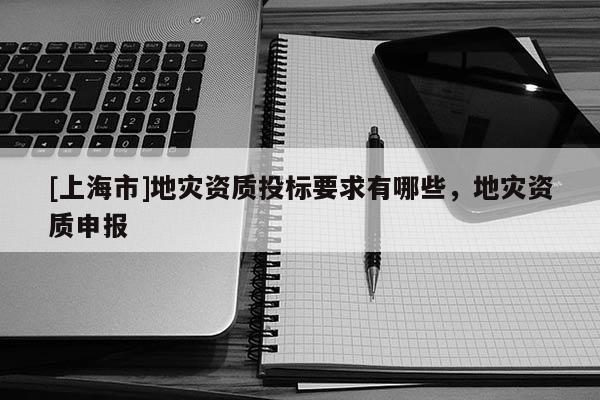 [上海市]地灾资质投标要求有哪些，地灾资质申报