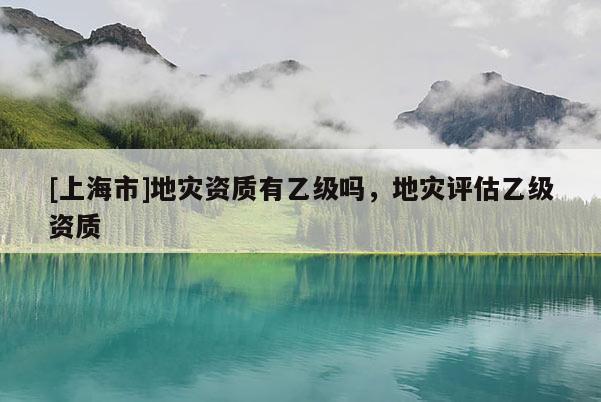 [上海市]地灾资质有乙级吗，地灾评估乙级资质