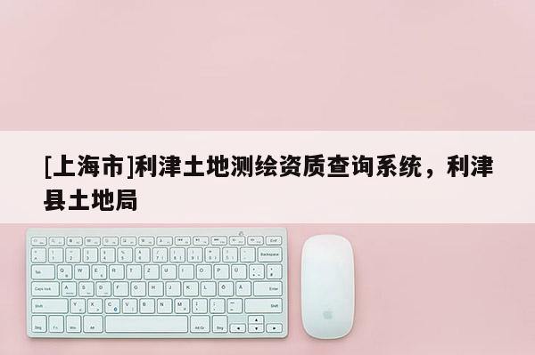 [上海市]利津土地测绘资质查询系统，利津县土地局