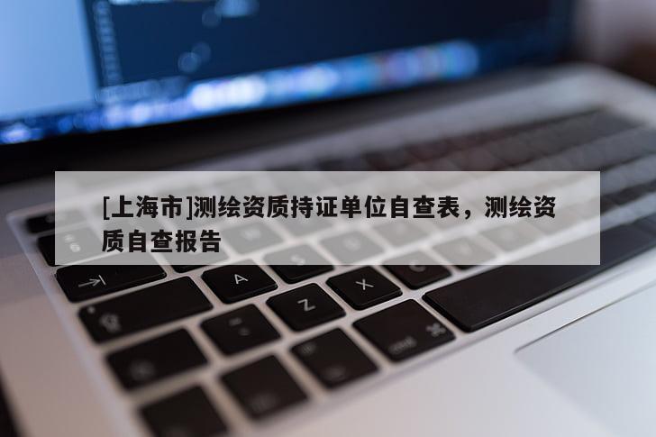 [上海市]测绘资质持证单位自查表，测绘资质自查报告