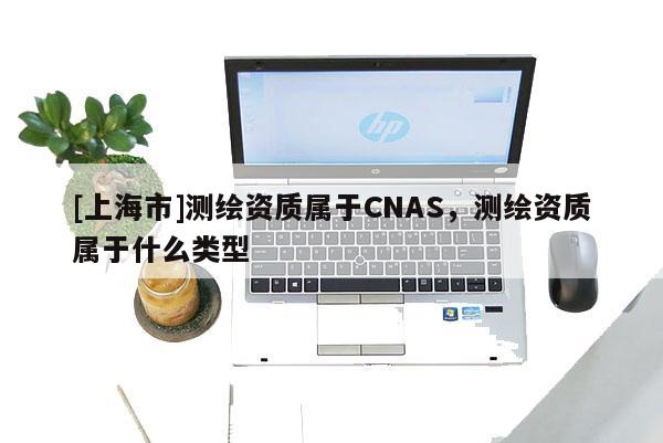 [上海市]测绘资质属于CNAS，测绘资质属于什么类型