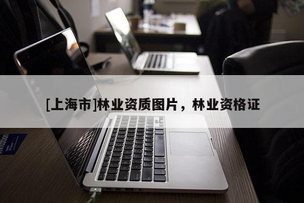 [上海市]林业资质图片，林业资格证
