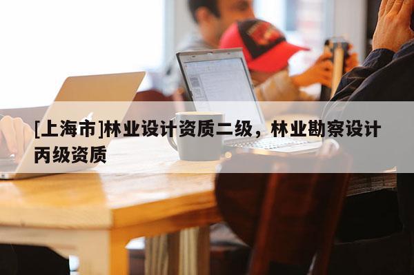 [上海市]林业设计资质二级，林业勘察设计丙级资质