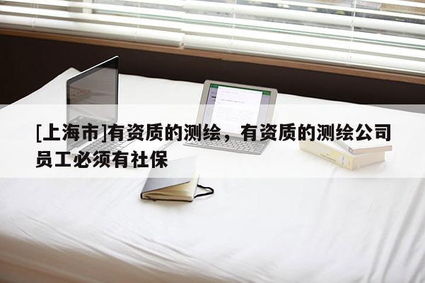 [上海市]有资质的测绘，有资质的测绘公司员工必须有社保