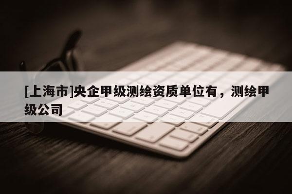 [上海市]央企甲级测绘资质单位有，测绘甲级公司
