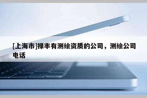 [上海市]禄丰有测绘资质的公司，测绘公司电话