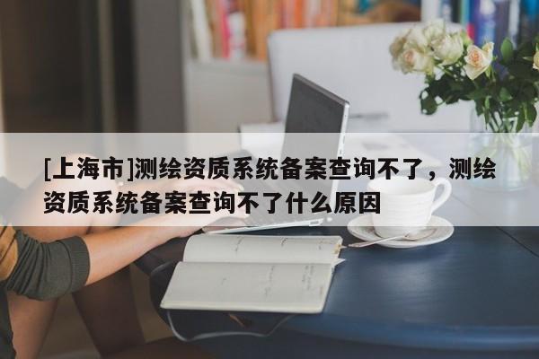[上海市]测绘资质系统备案查询不了，测绘资质系统备案查询不了什么原因