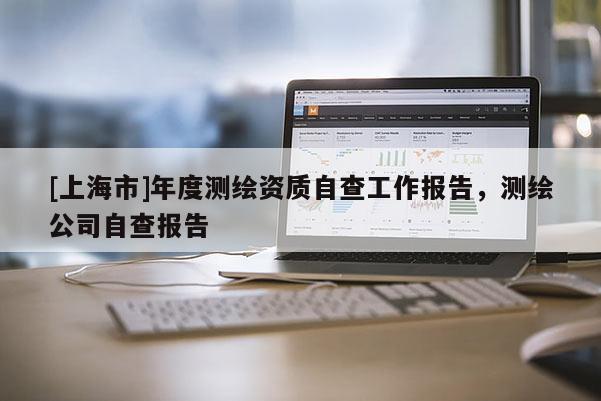 [上海市]年度测绘资质自查工作报告，测绘公司自查报告