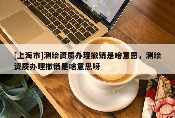 [上海市]测绘资质办理撤销是啥意思，测绘资质办理撤销是啥意思呀