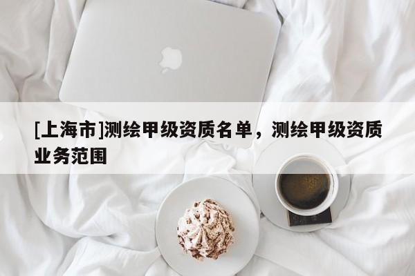 [上海市]测绘甲级资质名单，测绘甲级资质业务范围