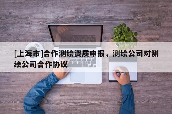 [上海市]合作测绘资质申报，测绘公司对测绘公司合作协议
