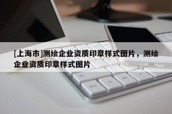 [上海市]测绘企业资质印章样式图片，测绘企业资质印章样式图片