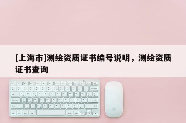 [上海市]测绘资质证书编号说明，测绘资质证书查询