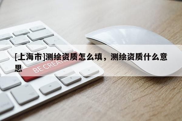 [上海市]测绘资质怎么填，测绘资质什么意思