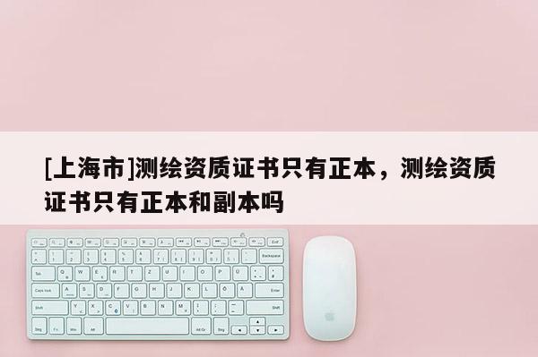 [上海市]测绘资质证书只有正本，测绘资质证书只有正本和副本吗