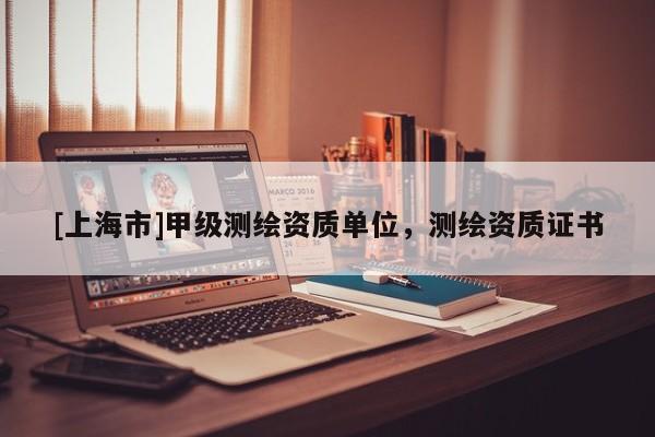[上海市]甲级测绘资质单位，测绘资质证书