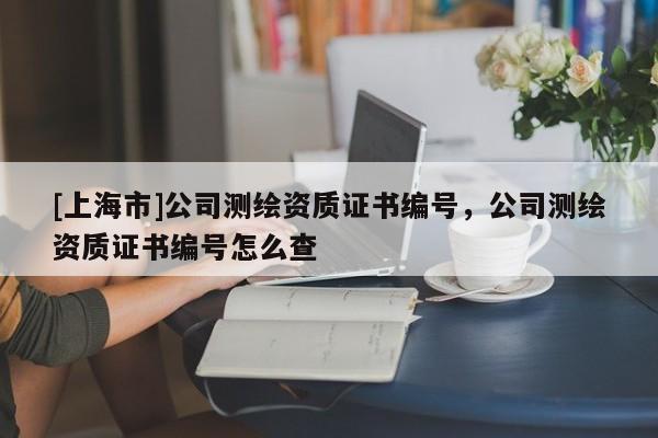 [上海市]公司测绘资质证书编号，公司测绘资质证书编号怎么查