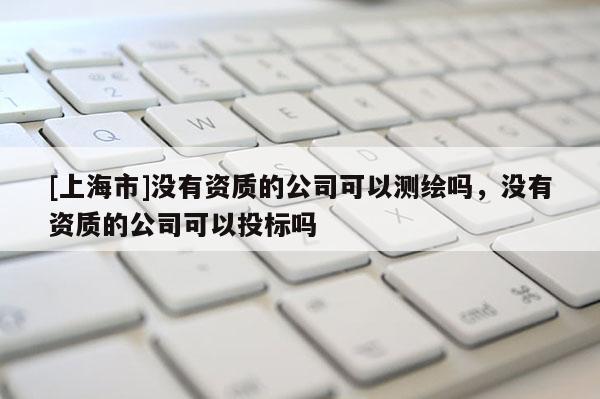 [上海市]没有资质的公司可以测绘吗，没有资质的公司可以投标吗