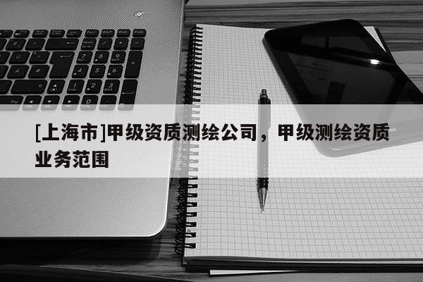 [上海市]甲级资质测绘公司，甲级测绘资质业务范围