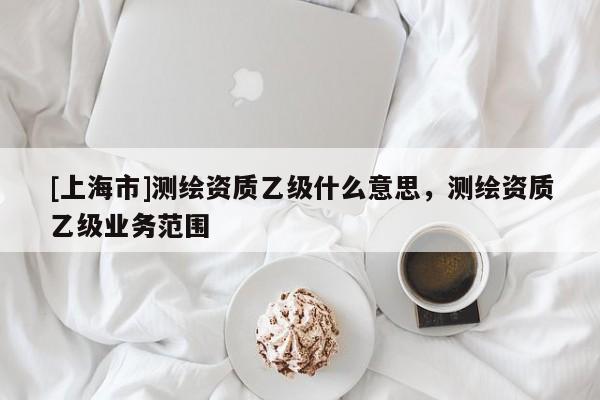 [上海市]测绘资质乙级什么意思，测绘资质乙级业务范围
