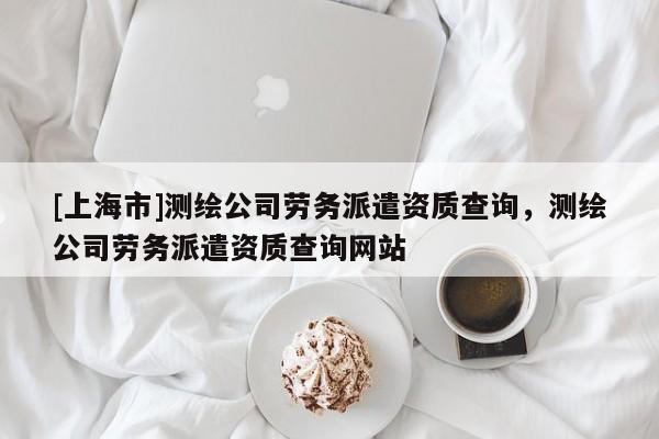 [上海市]测绘公司劳务派遣资质查询，测绘公司劳务派遣资质查询网站