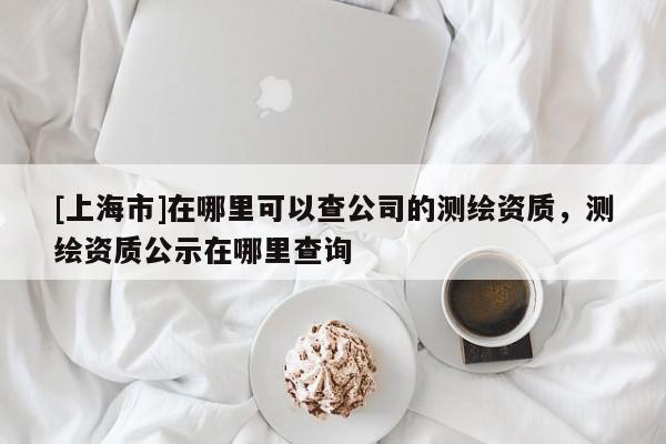 [上海市]在哪里可以查公司的测绘资质，测绘资质公示在哪里查询