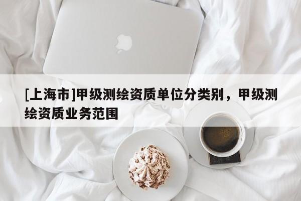 [上海市]甲级测绘资质单位分类别，甲级测绘资质业务范围